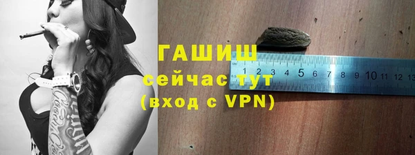 мдпв Бородино