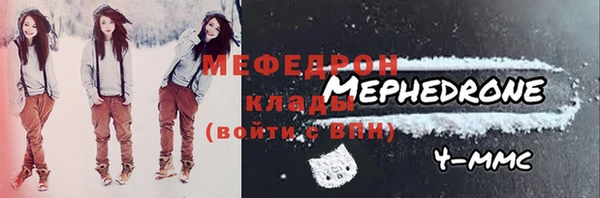 мдпв Бородино