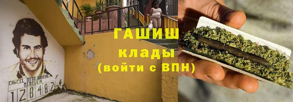 мдпв Бородино
