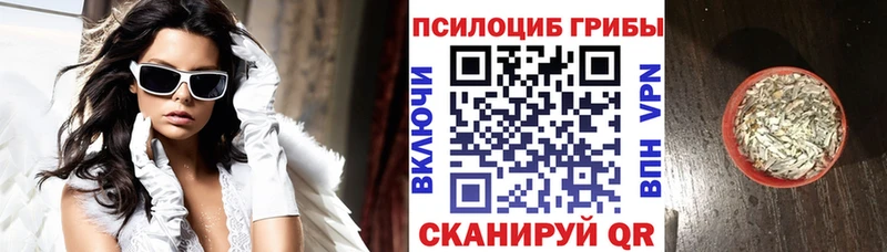 маркетплейс Telegram  продажа наркотиков  Старица  Псилоцибиновые грибы Psilocybine cubensis 